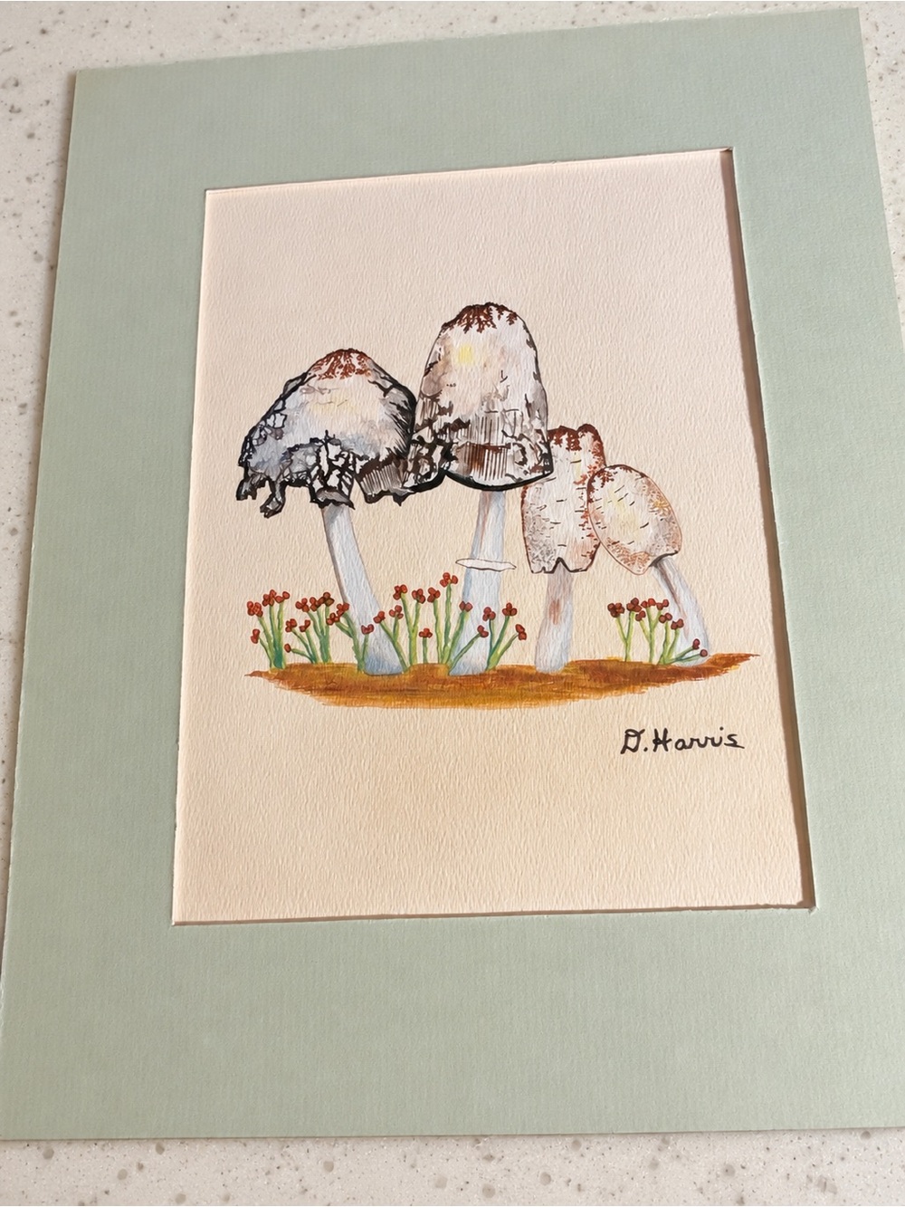 D. Harris Signed Original Mushroom Art Pair With Mats